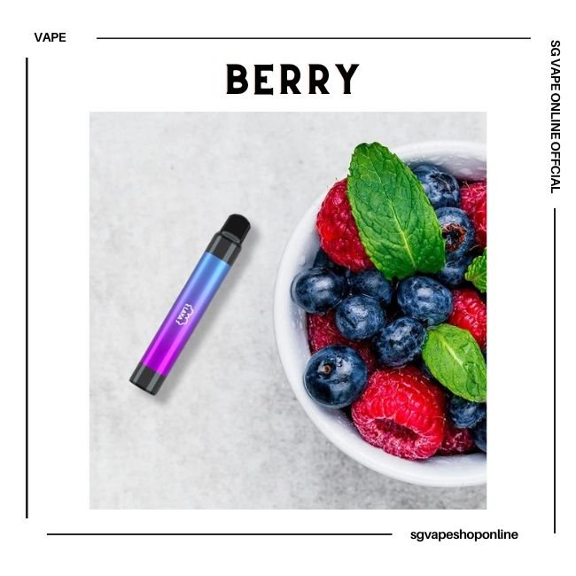 lanapen-2000-puff-berry-disposable-vape-shop-singapore